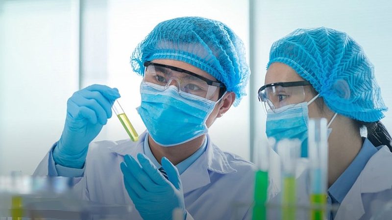 兽药GMP认证：代理服务与验收流程全解析
