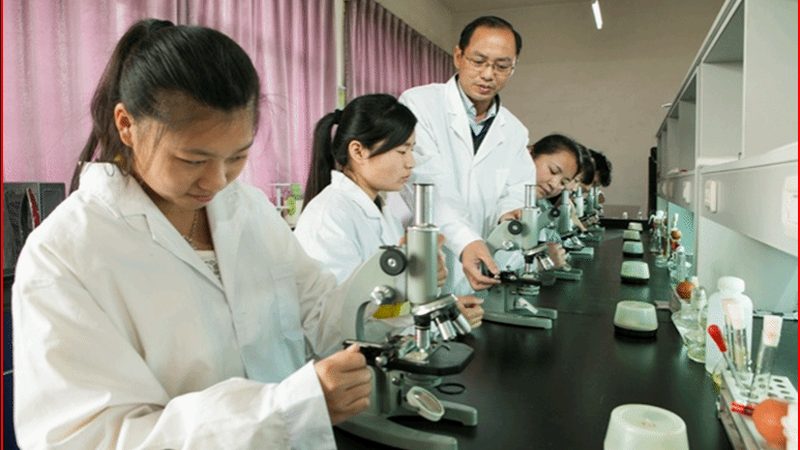 药用辅料加盟，如何选择靠谱公司？**