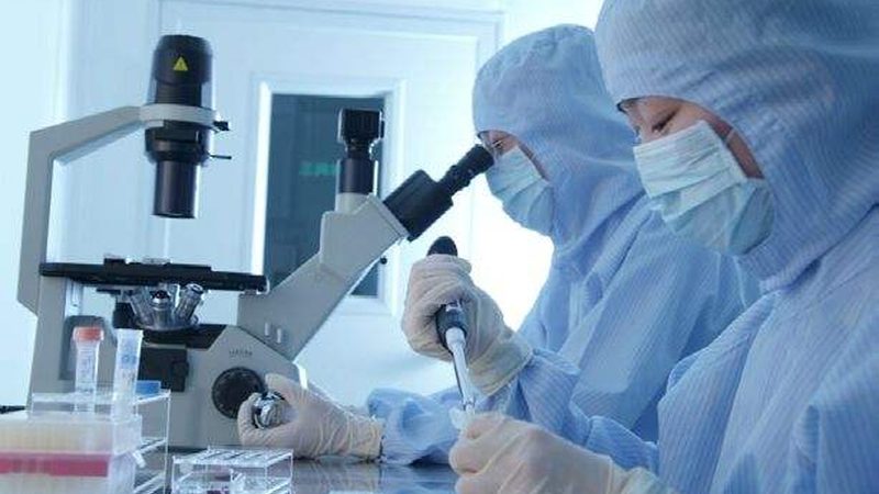 医药公司GSP认证，保障药品质量安全的坚实基石