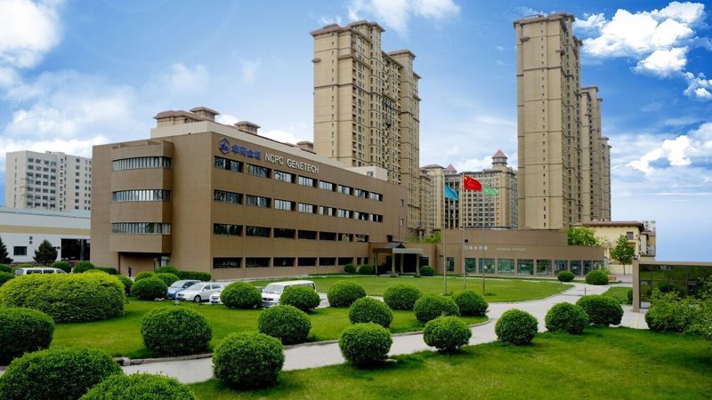 保健品代加工合同范本：保障合作双方权益的关键