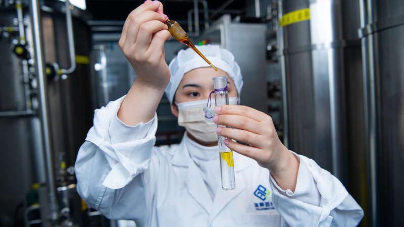 植物胶囊与明胶胶囊：适用人群差异解析**